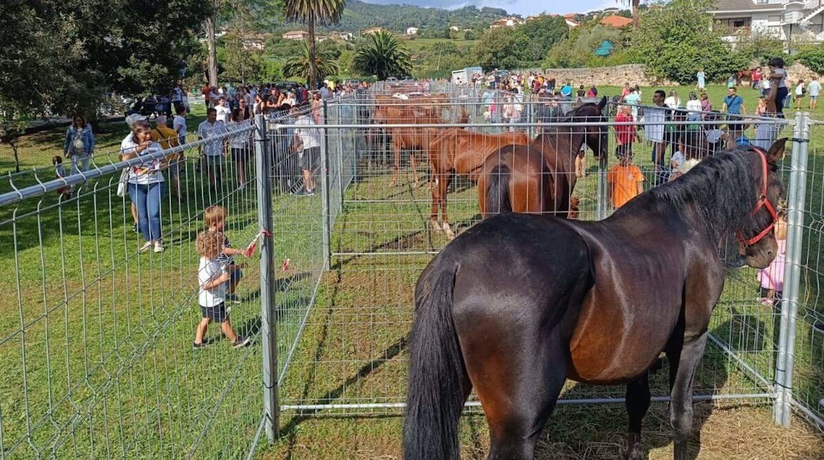 feria-agricola-ganadera-muskiz