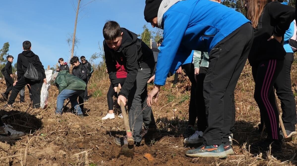 reforestacion-monte-mello